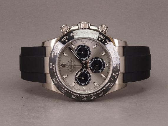 2026-02-11 - XPP2110010.JPG